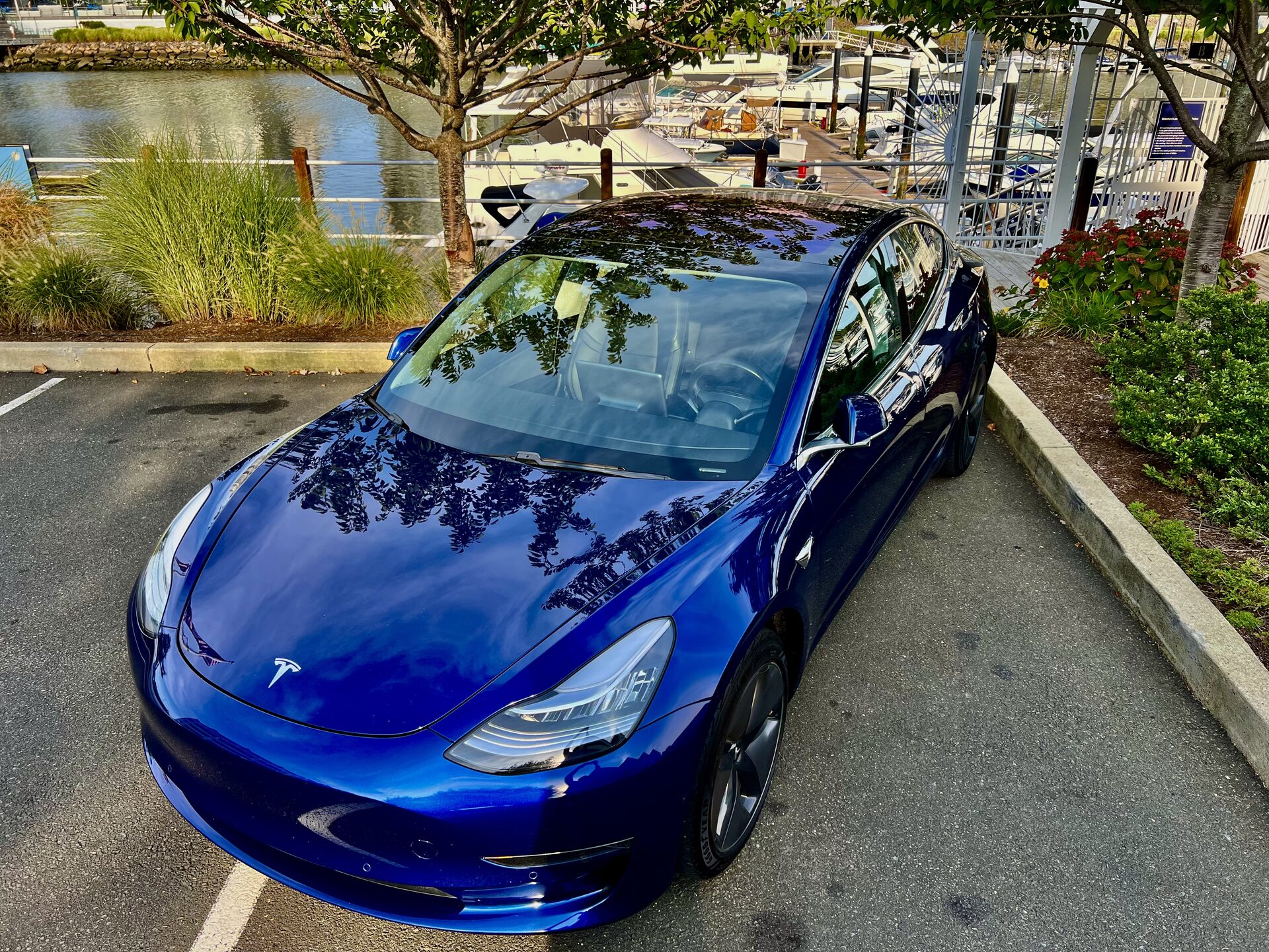 Tesla Model 3 at the marina — Martha's Vineyard road-trip ready